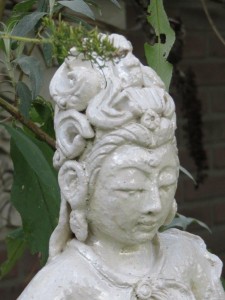 img_8568